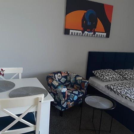 Apartament Pianista ワルシャワ エクステリア 写真